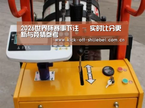 世界杯下注案例展示三