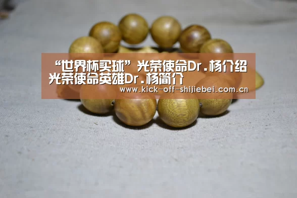 “世界杯买球”光荣使命Dr.杨介绍 光荣使命英雄Dr.杨简介(图1) 世界杯买球