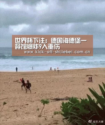 世界杯下注:德国海德堡一餐馆爆炸9人重伤(图1) 世界杯买球