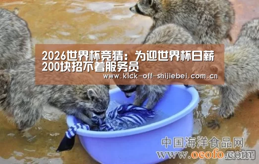 2026世界杯竞猜:为迎世界杯日薪200块招不着服务员(图1) 世界杯下注